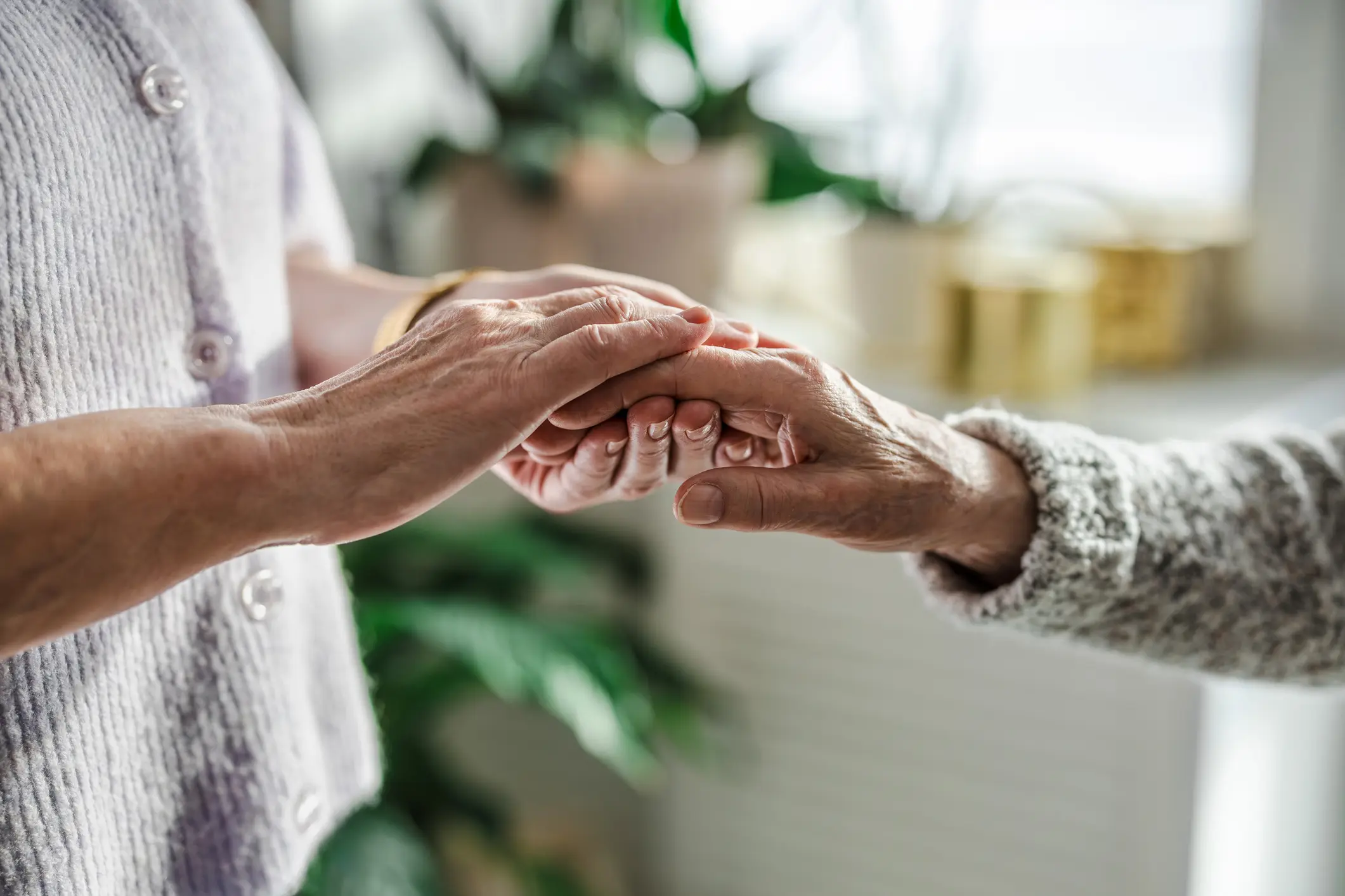 Elderly and caregiver hands